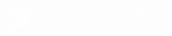 studio colibri blanc site 01